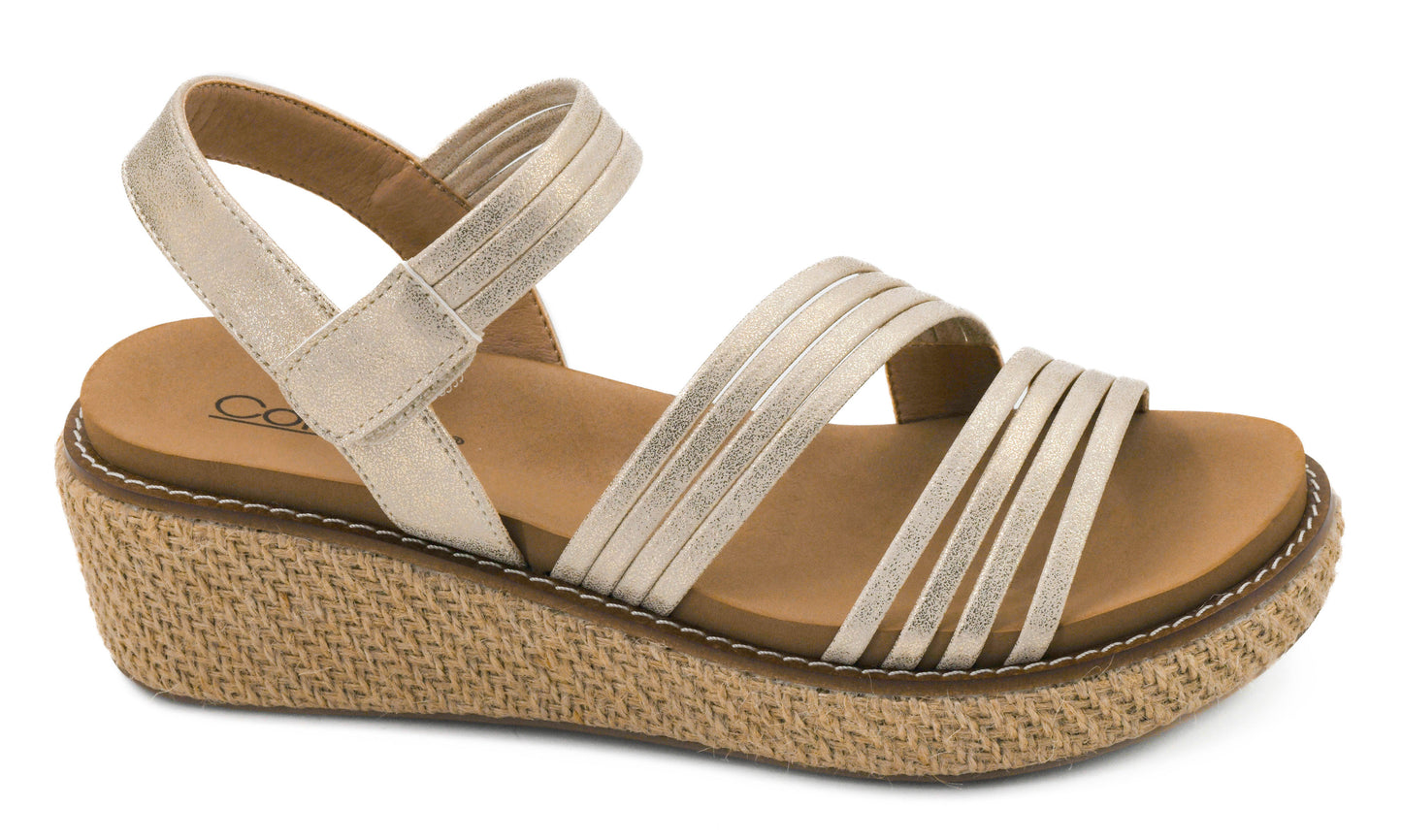 WHAT ABOUT NOW WEDGE