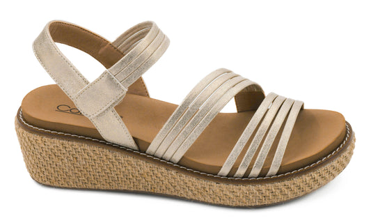 WHAT ABOUT NOW WEDGE